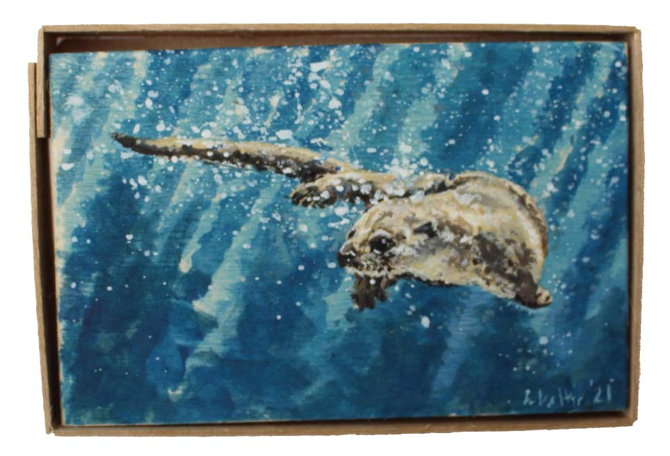 Ein schwimmender Otter, er ist gemalt mit Acrylfarbe auf Sperrholz. Eingerahmt wird das Bild durch eine Holz-Käseschachtel.